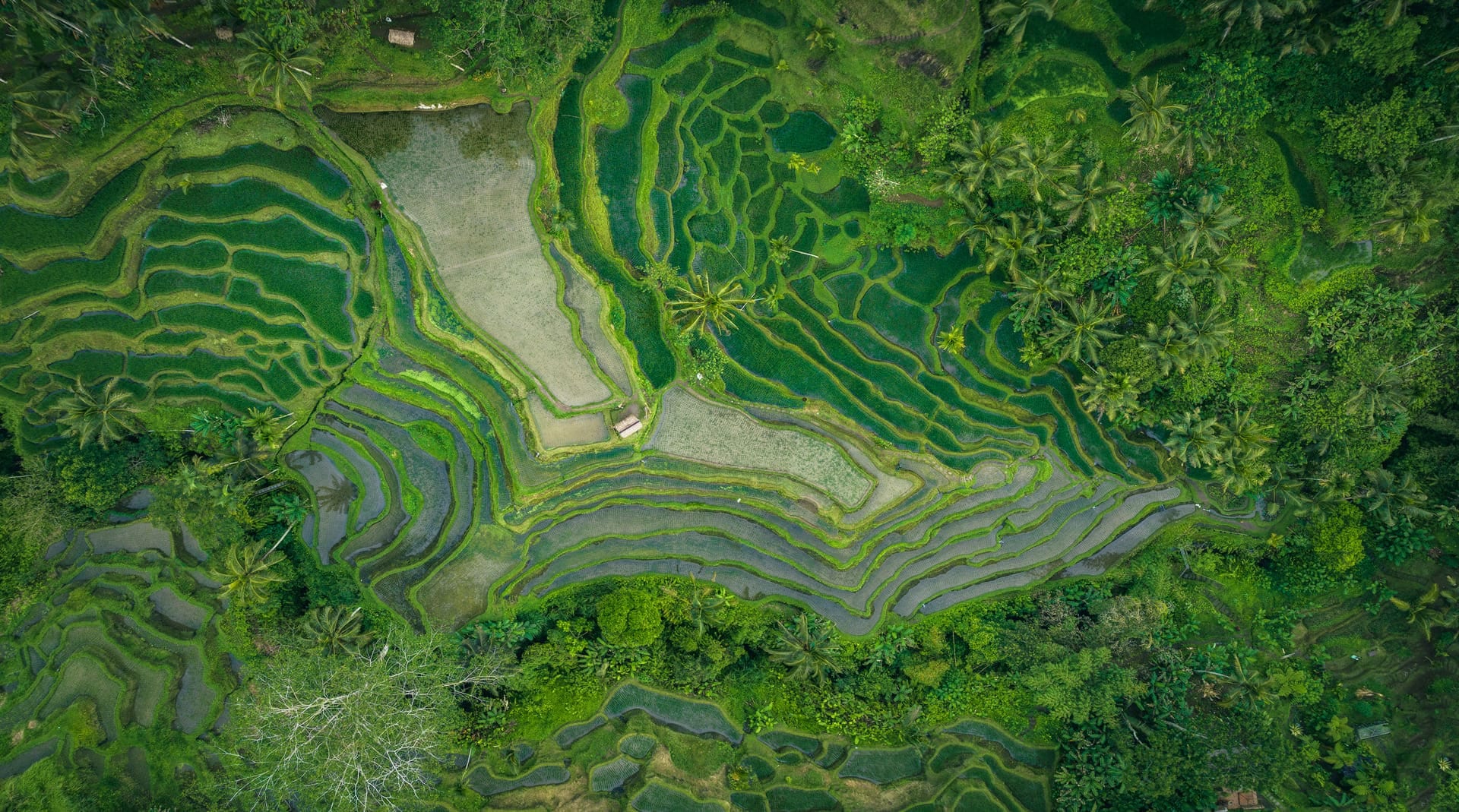 La Traversée des 5 Îles 4